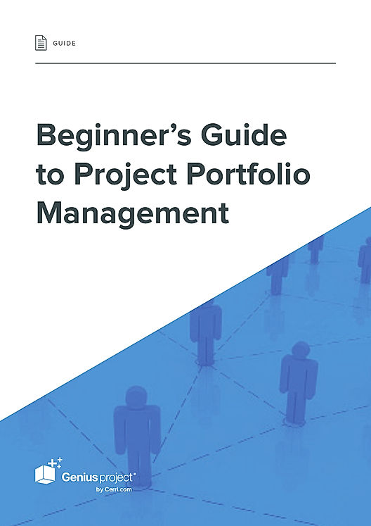 Beginner’s Guide to Project Portfolio Management